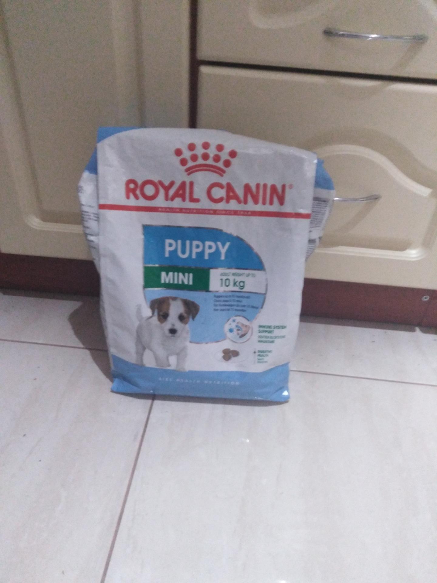 Royal canin puppy mini