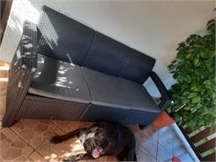 Curver Keter Sofa ogrodowa CORFU LOVE SEAT MAX Anthracite 