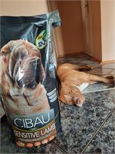 Cibau Adult Sensitive Fish Medium & Maxi 12Kg+2Kg