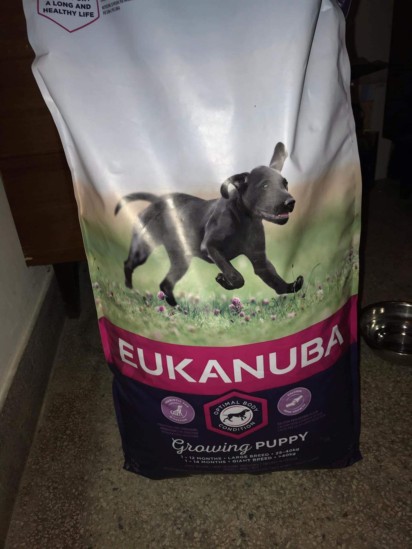 eukanuba large breed puppy 18kg