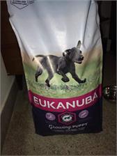 Eukanuba sucha karma dla szczeniąt dużych ras bogata w świeżego kurczaka 2x15kg