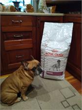 Royal Canin Veterinary Canine Hypoallergenic 14kg