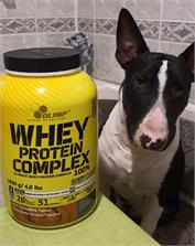 Olimp Whey Protein Complex 100% 1800g