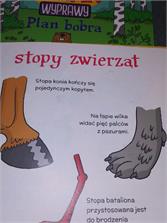 Bagienny Łoś Żubr Pompik - Tomasz Samojlik