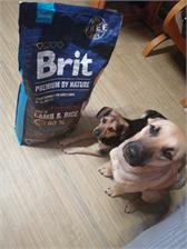 Brit Premium By Nature Sensitive Lamb&Rice 15Kg