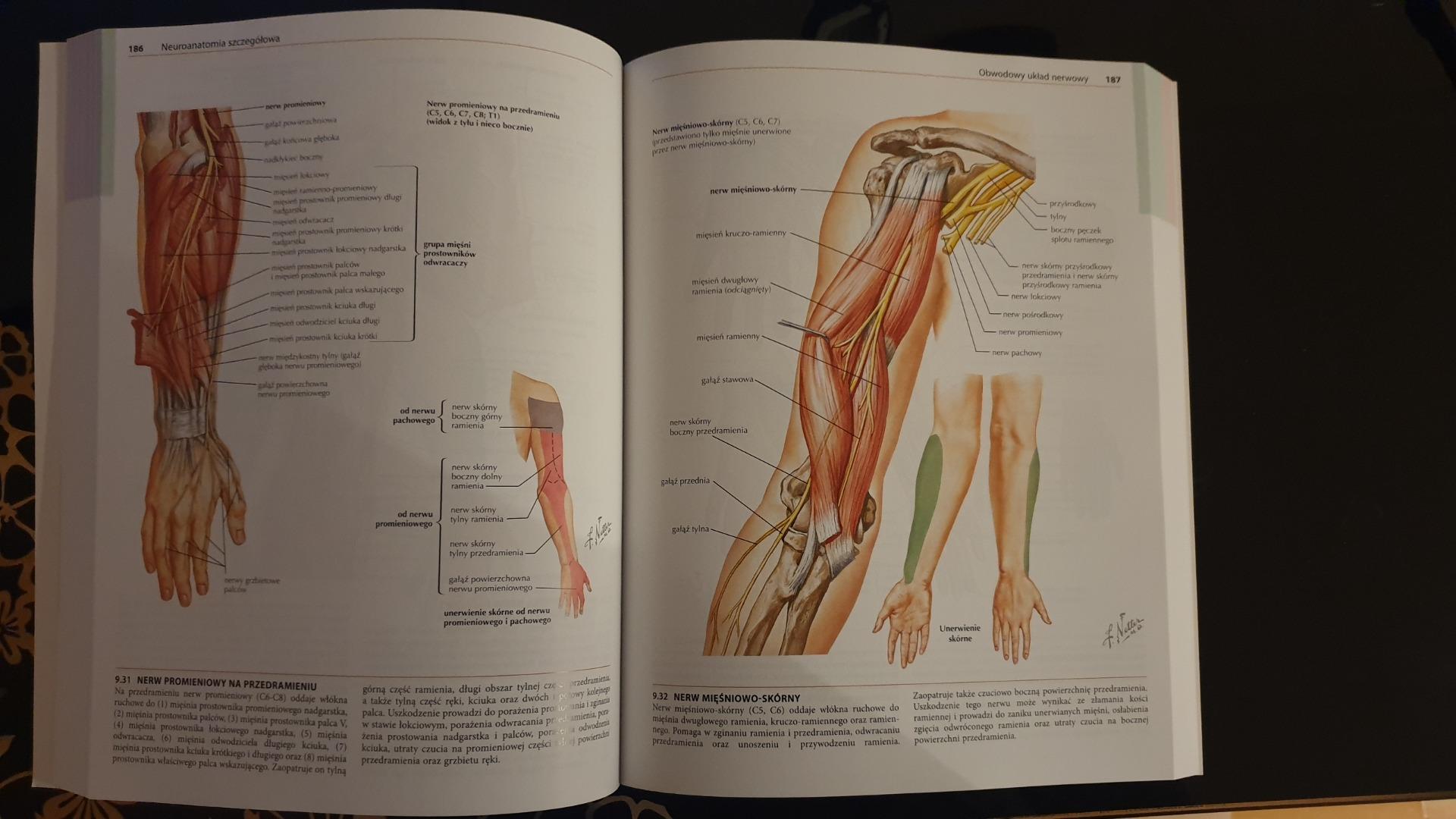Atlas neuroanatomii i neurofizjologii Nettera - ceny i opinie - Ceneo.pl