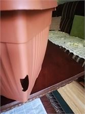 Prosperplast Skrzynia Terra Dtt600 Terakota