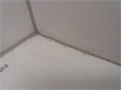 Mapei Mapesil Ac 110 310ml
