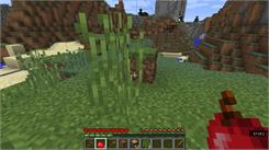 Minecraft Java Edition (Digital)