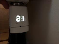 Eve Thermo (10EBP1701)