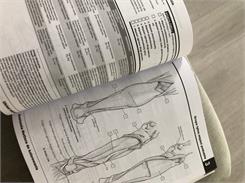 Anatomia Nettera Do Kolorowania 