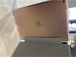 Apple iPad 10,2" 32GB Wi-Fi Złoty (MYLC2FDA)