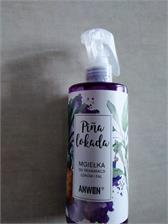 Anwen Pinalokada Mgiełka Do Reanimacji Loków I Fal 300ml