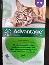 Bayer ADVANTAGE dla dużych kotów 4 pipety X 0,8ML
