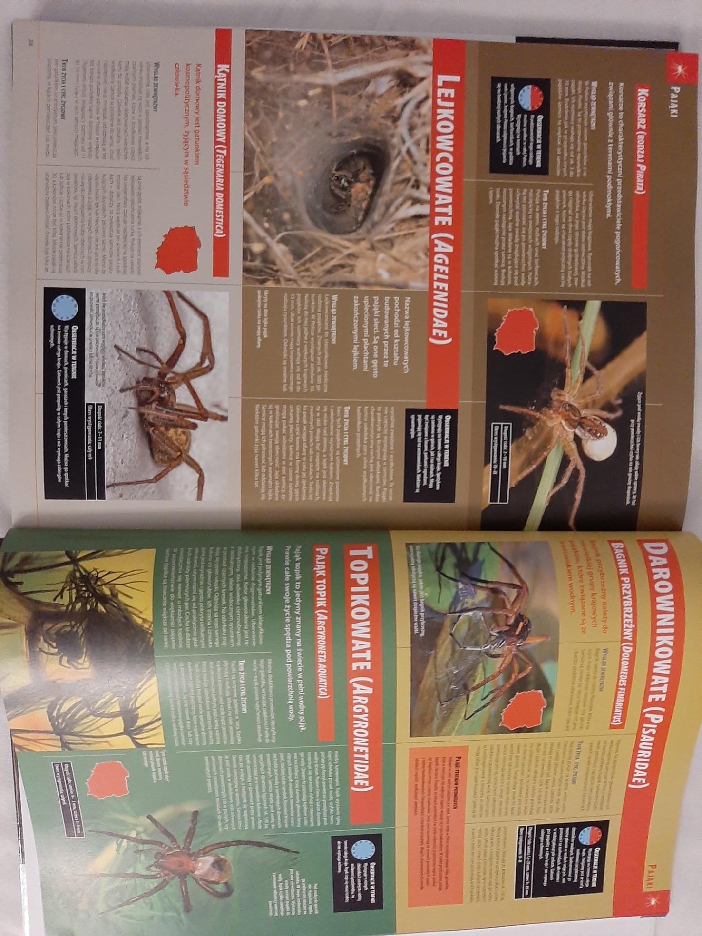 Ilustrowana encyklopedia owadów i pajęczaków - Ceny i opinie - Ceneo.pl