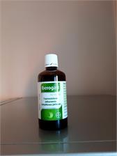 Iberogast 100 ml