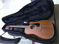 Takamine GD11MCE-NS