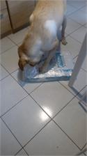 Royal Canin Veterinary Diet Hypoallergenic Moderate Calorie Hme23 14kg