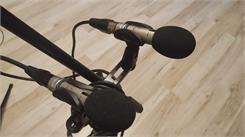 Behringer C-2