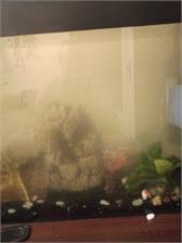 Aquael Żwir Bazaltowy 2-4 Mm, 2 Kg
