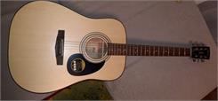 Cort AD810-OP