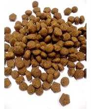 Dog Chow Adult Dla Dorosłych Psów z Jagnięciną 14kg