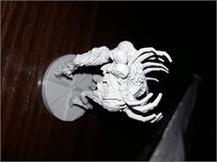 Nemesis Karnomorfy