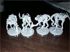Nemesis Karnomorfy