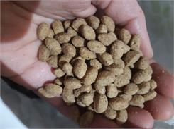 Cat Chow 3in1 Dla Kotów Zawierająca Formułę o Potrójnych Korzyściach z Indykiem 15kg