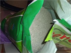 Certech Żwirek Benek Super Zielony Las 25L