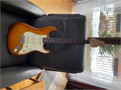 Fender American Performer Stratocaster RW HBST