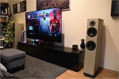 Pylon Audio Diamond 28 Czarny Dąb