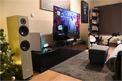 Pylon Audio Diamond 28 Czarny Dąb
