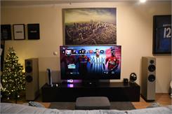 Pylon Audio Diamond 28 Czarny Dąb