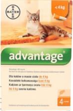 Bayer ADVANTAGE dla małych kotów 4 pipety X 0,4ML