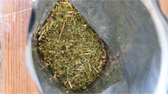 Verde Mate Green Mas Iq 0,5Kg