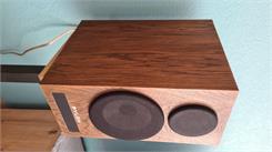 Pylon Audio Ruby Monitor Orzech