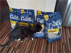 Calitti Strong Żwirek Dla Kota Bentonitowy Compact Bezzapachowy 5L