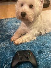 Microsoft Xbox Series X
