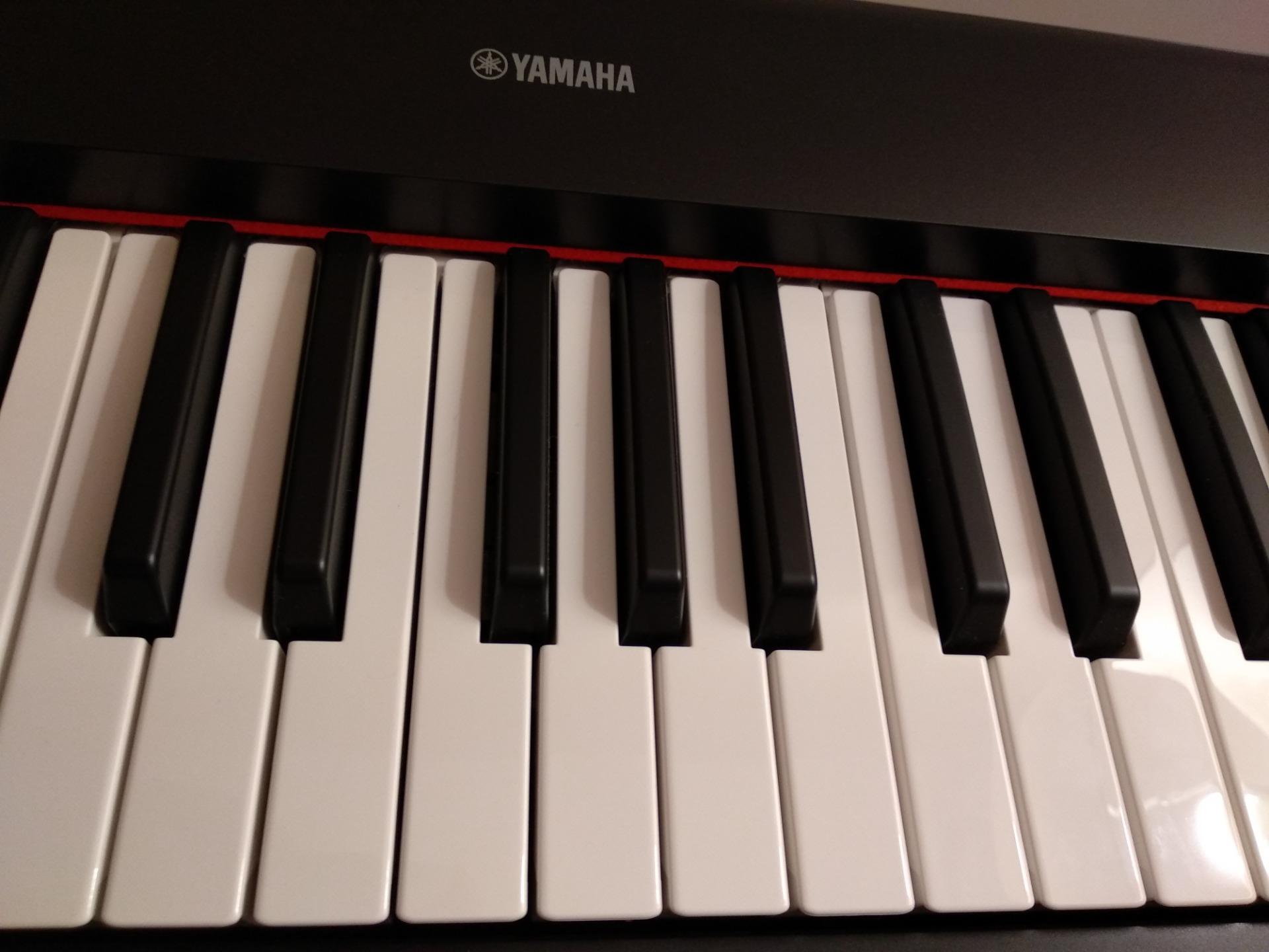 Yamaha NP-12B - Ceny i opinie - Ceneo.pl