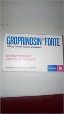 Groprinosin Forte 1000 mg 30 tabl.
