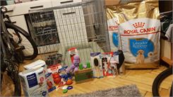 Royal Canin Labrador Retriever Puppy 12kg