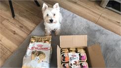 Royal Canin West Highland White Terrier Adult 3kg