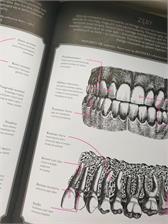 Gabinet Anatomii