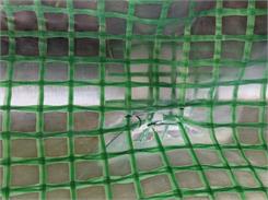 Focus Garden Tunel Foliowy 3x6x2 - 18m2 