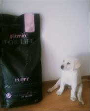 Fitmin Dog For Life Puppy 15Kg