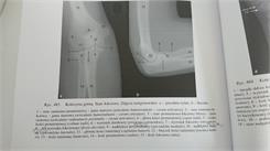Anatomia radiologiczna rtg tk mr usg