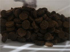Acana Classics Red 11,4Kg