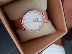 Timex mesh TW2R26400