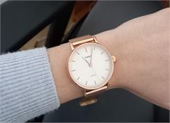 Timex mesh TW2R26400